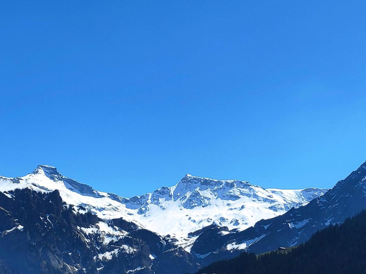 Chuenislodge2- Zwei Balkone, Gemuetlicher Kamin, Top Aussicht Adelboden Exterior foto